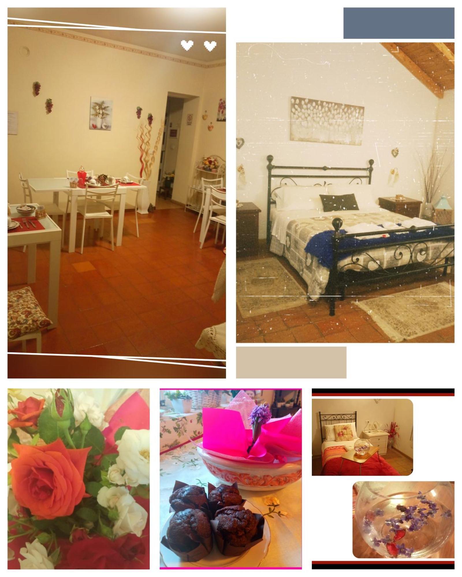Felix House Bed & Breakfast Codevilla Exterior photo